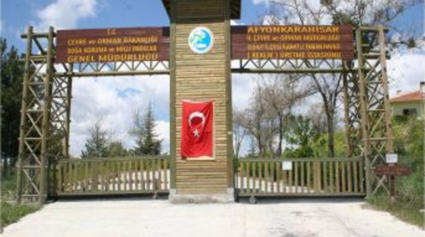 Biyolojik mücadele için doğaya 63 bin keklik bırakıldı