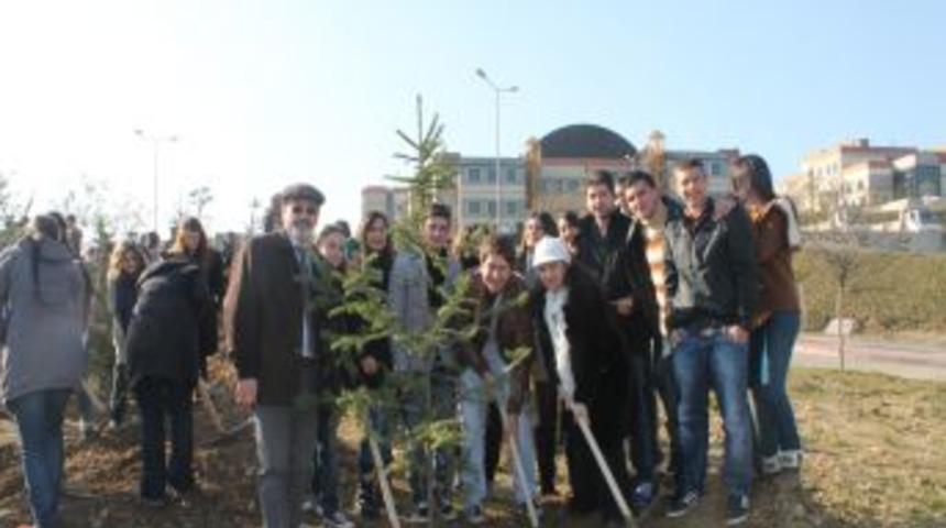 &Uuml;niversite &ouml;ğrencileri &ccedil;am fidanı dikti