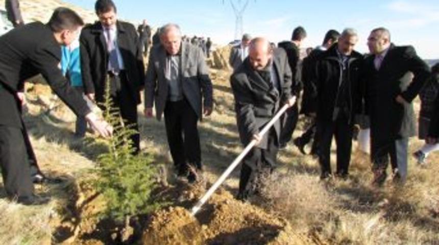 Şerefliko&ccedil;hisar&rsquo;da bin 500 fidan toprakla buluştu