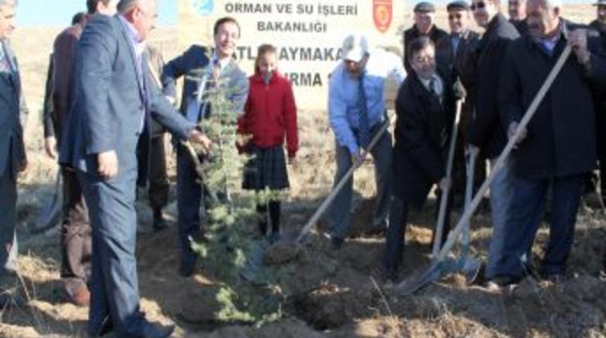 Polatlı&rsquo;da 250 bin fidan toprakla buluştu