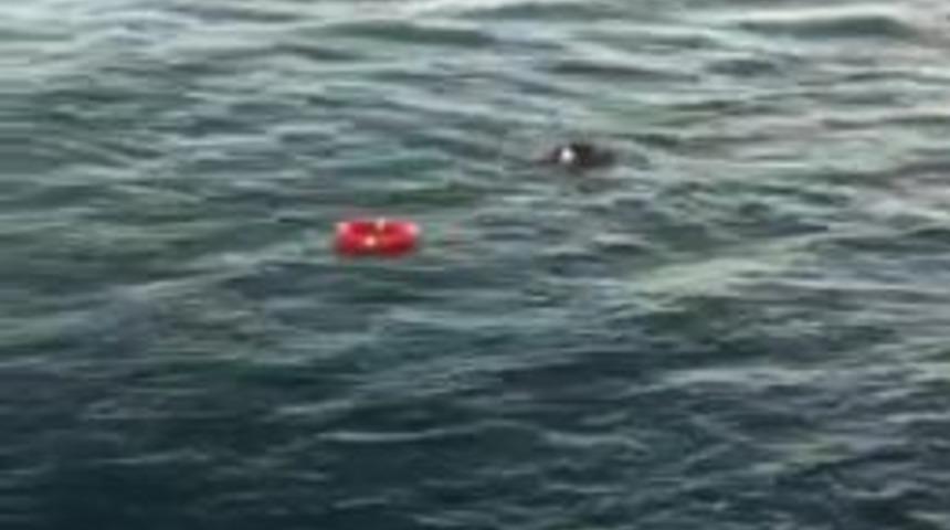 Vapurdan d&uuml;şen kişinin imdadına can simidi yetişti