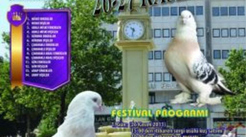 3. Trakya Şebap G&uuml;vercin Festivali &Ccedil;orlu&rsquo;da yapılacak