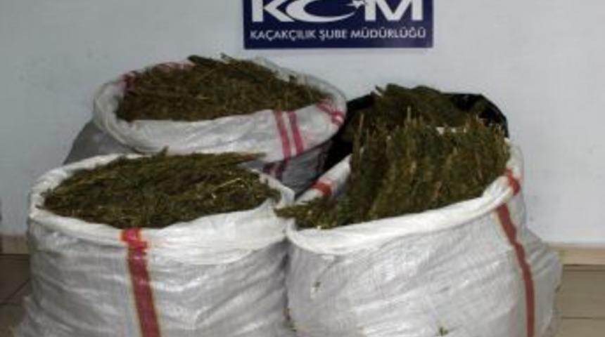 Batman'daki esrar operasyonunda 11 kişi tutuklandı