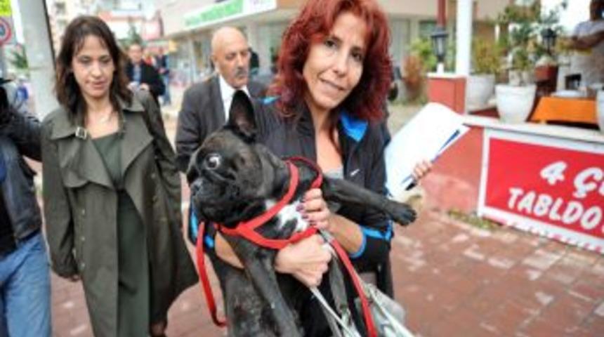 Sarıg&uuml;l borcu &ouml;dedi, borca karşılık haczedilen k&ouml;pek geri alındı