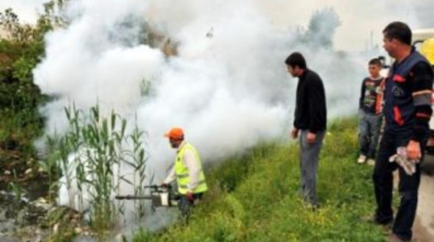 Mersin'de sinekle m&uuml;cadele