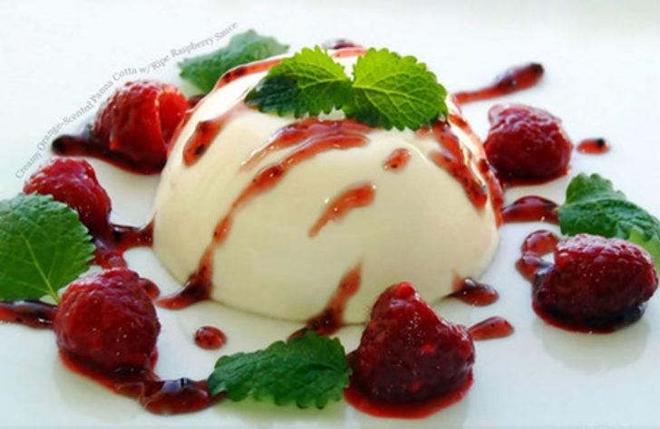 Ahududulu panna cotta