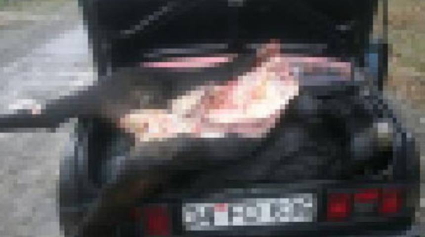 Çaldıkları hayvanı öldürüp bagajda taşıdılar