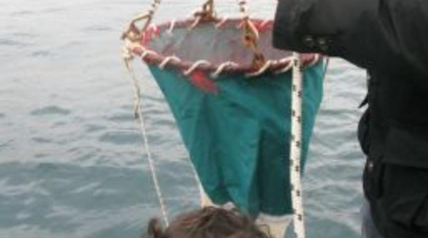 Hali&ccedil;'ten numune alan &ouml;ğrenciler, biyolojik &ccedil;eşitliliği mercek altına aldı