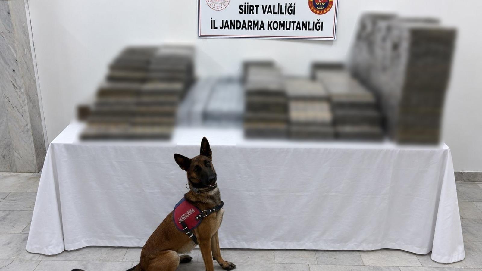 Siirt’te kömür çuvallarının arasına gizlenmiş 10 bin 250 paket kaçak sigara ele geçirildi