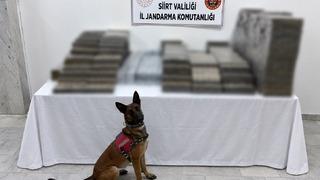 Son dakika: Siirt&rsquo;te k&ouml;m&uuml;r &ccedil;uvallarının arasına gizlenmiş 10 bin 250 paket ka&ccedil;ak sigara ele ge&ccedil;irildi