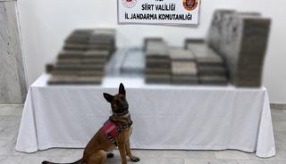 Siirt’te kömür çuvallarının arasına gizlenmiş 10 bin 250 paket kaçak sigara ele geçirildi