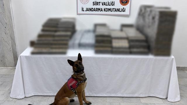 Siirt’te kömür çuvallarının arasına gizlenmiş 10 bin 250 paket kaçak sigara ele geçirildi
