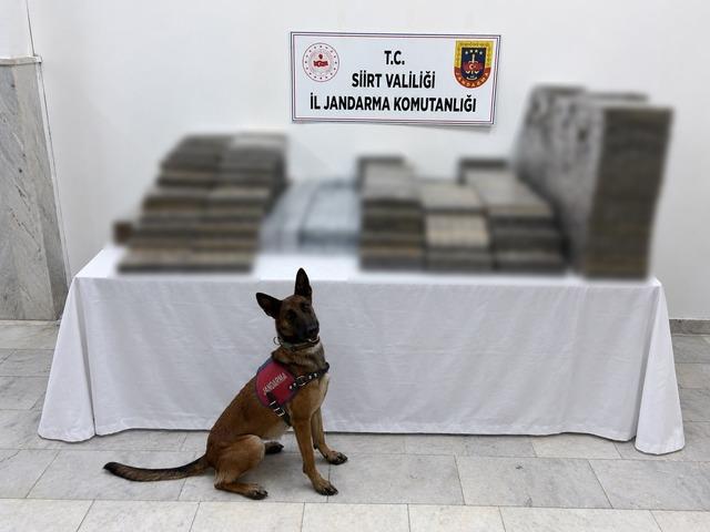 Siirt’te kömür çuvallarının arasına gizlenmiş 10 bin 250 paket kaçak sigara ele geçirildi