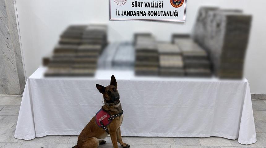 Siirt’te kömür çuvallarının arasına gizlenmiş 10 bin 250 paket kaçak sigara ele geçirildi
