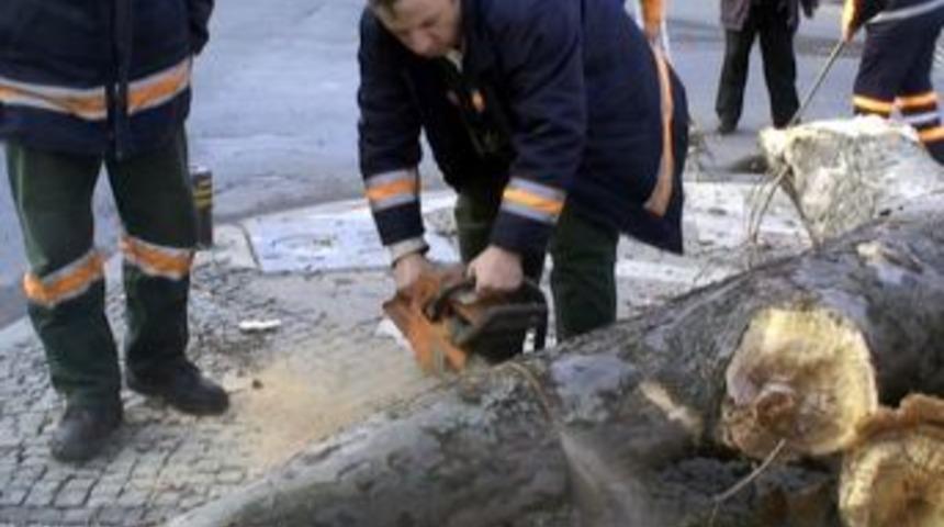 Erdoğan&rsquo;ın konutunun yakınında &lsquo;ağa&ccedil;&rsquo; hareketliliği