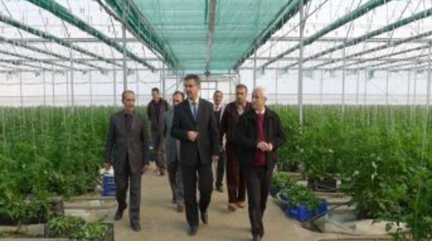 Seracılık y&uuml;zde 50 hibe projesiyle gelişiyor