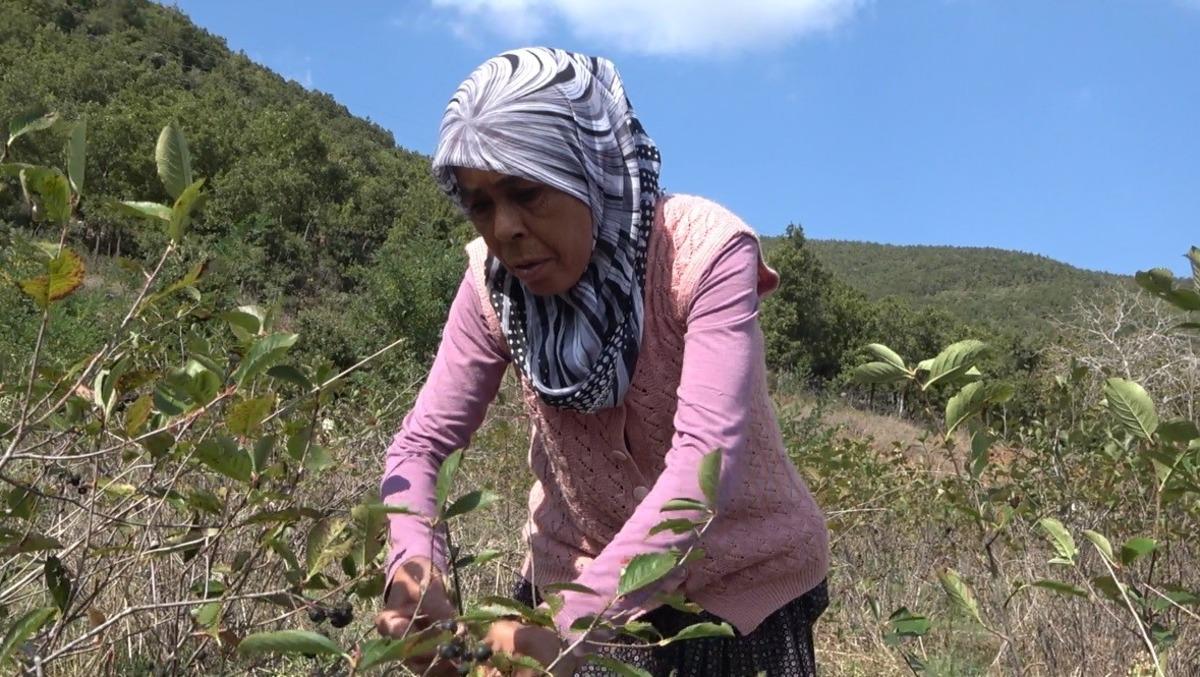 Oğlunun tavsiyesiyle başladı! Reçelini 400 liradan satıyor 1