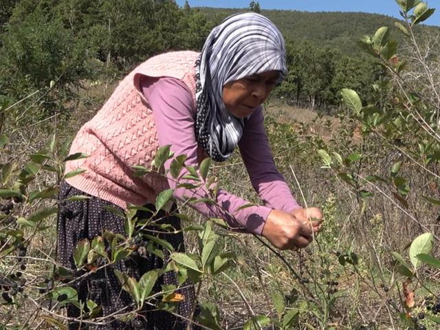 Oğlunun tavsiyesiyle başladı! Re&ccedil;elini 400 liradan satıyor
