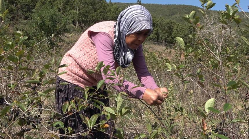 Oğlunun tavsiyesiyle başladı! Re&ccedil;elini 400 liradan satıyor