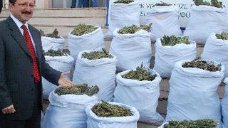 Uyuşturucu tacirlerine PKK'dan vergi belgesi