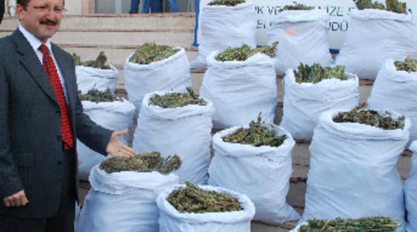 Uyuşturucu tacirlerine PKK'dan vergi belgesi