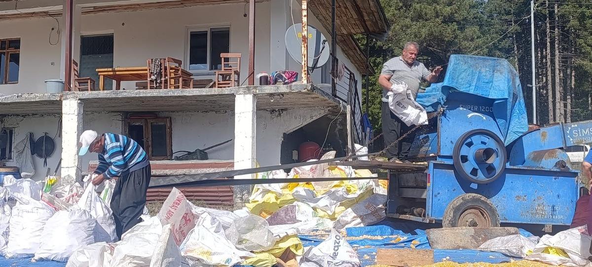 Andırın da evlerin önü sarıya büründü! Görenler bu geleneği merak ediyor 1