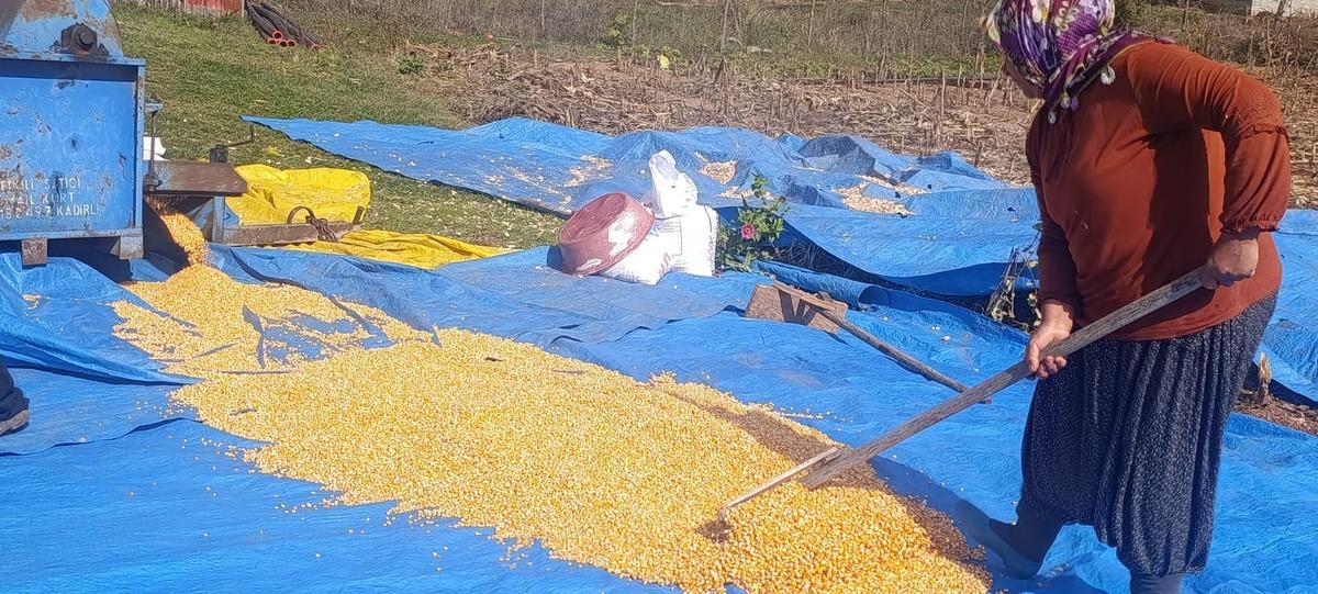Andırın da evlerin önü sarıya büründü! Görenler bu geleneği merak ediyor 2