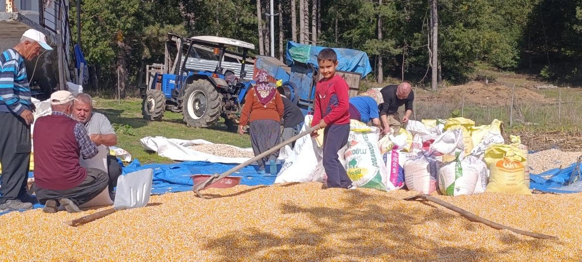 Andırın da evlerin önü sarıya büründü! Görenler bu geleneği merak ediyor 3