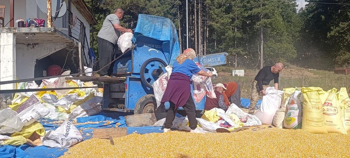 Andırın da evlerin önü sarıya büründü! Görenler bu geleneği merak ediyor 5
