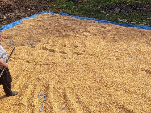 G&ouml;renler bu geleneği merak ediyor