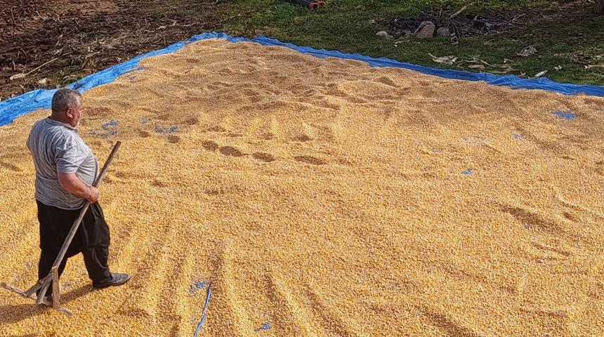 Andırın'da evlerin &ouml;n&uuml; sarıya b&uuml;r&uuml;nd&uuml;! G&ouml;renler bu geleneği merak ediyor