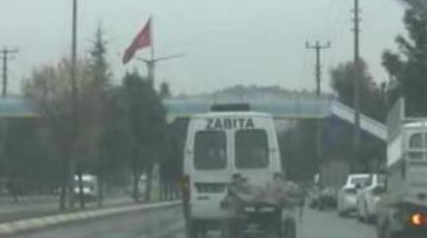 Zabıtadan at arabası alarmı