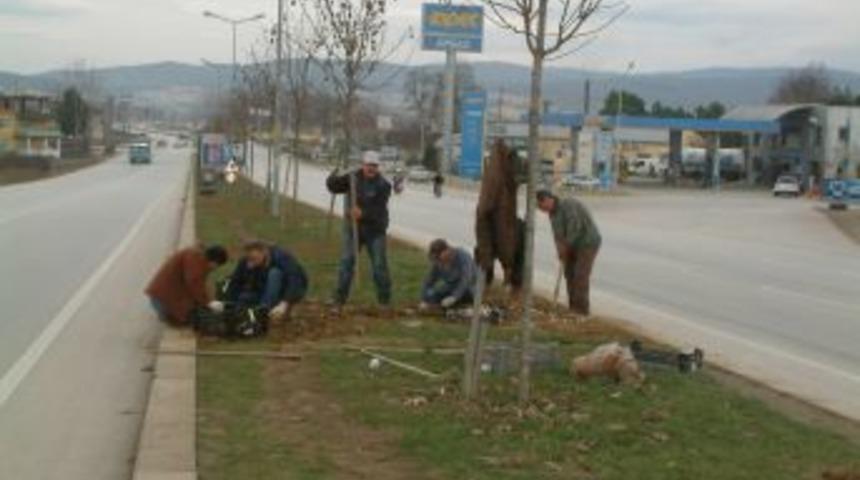 D&uuml;zce&rsquo;nin g&uuml;zelleşmesi i&ccedil;in 900 bin lale soğanı dikiliyor