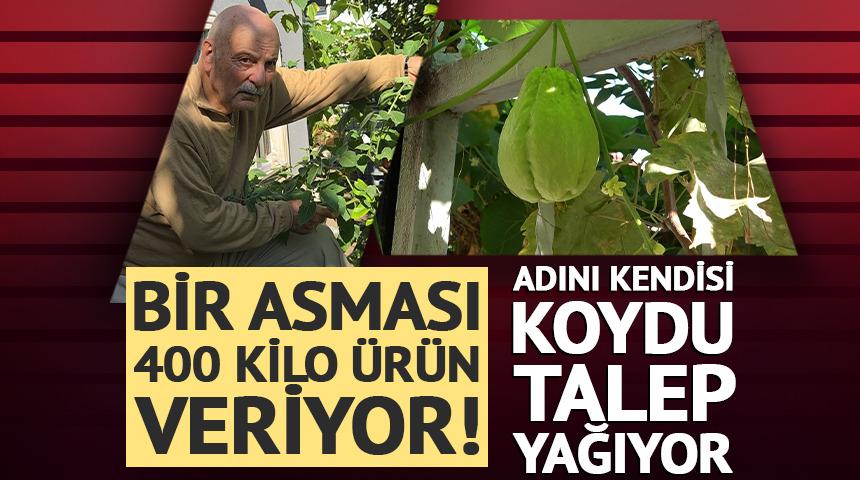Bir asması 400 kilo &uuml;r&uuml;n veriyor! Adını kendisi koydu, talep yağıyor