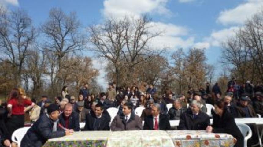 &Uuml;niversite &ouml;ğrencilerinden ağa&ccedil; budama şenliği