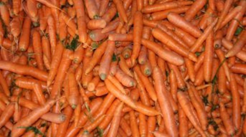 Hatay&rsquo;da havu&ccedil; hasadı sıkıntılı başladı