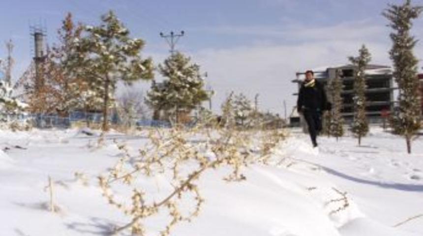 Cihanbeyli beyaza b&uuml;r&uuml;nd&uuml;