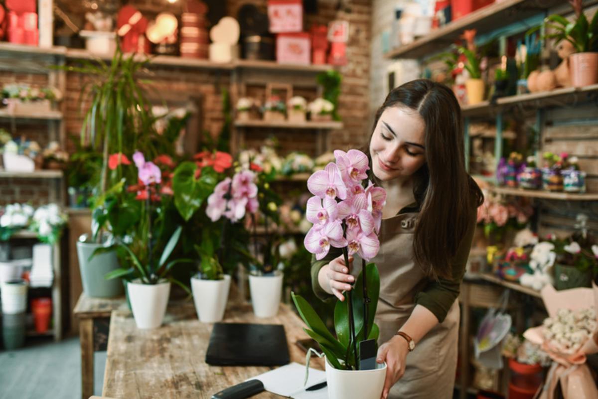 Orkideniz bir türlü çiçek açmıyorsa bu 7 yöntemi deneyin! Kısa sürede farkı göreceksiniz 3