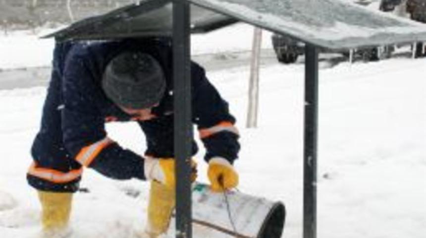 Karatay Belediyesi'nden doğal hayata destek