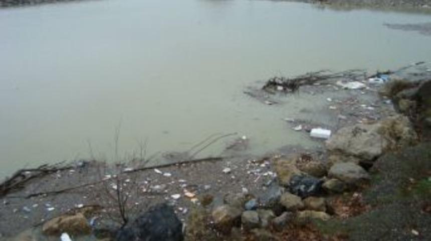 Alaplı &Ccedil;ayı'nda tehlike