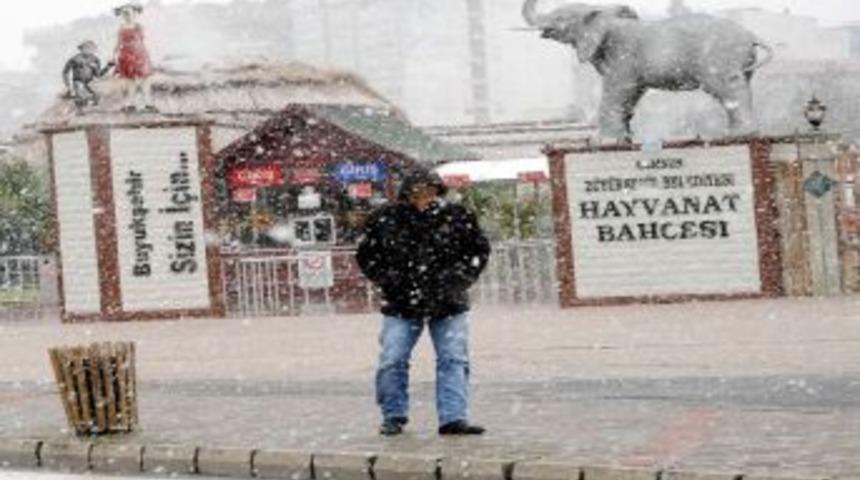 Samsun'da kar yağışı etkili oluyor