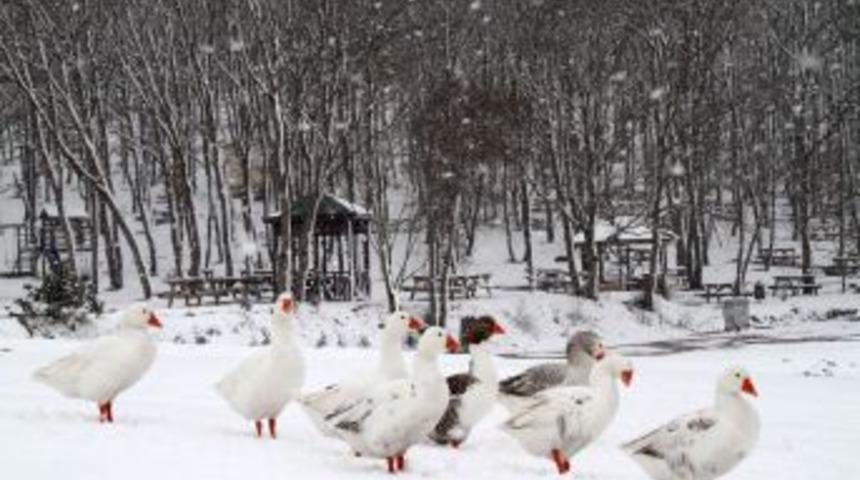 Kar, Poyrazlar G&ouml;l&uuml;'nde kartpostallık g&ouml;r&uuml;nt&uuml;ler oluşturdu