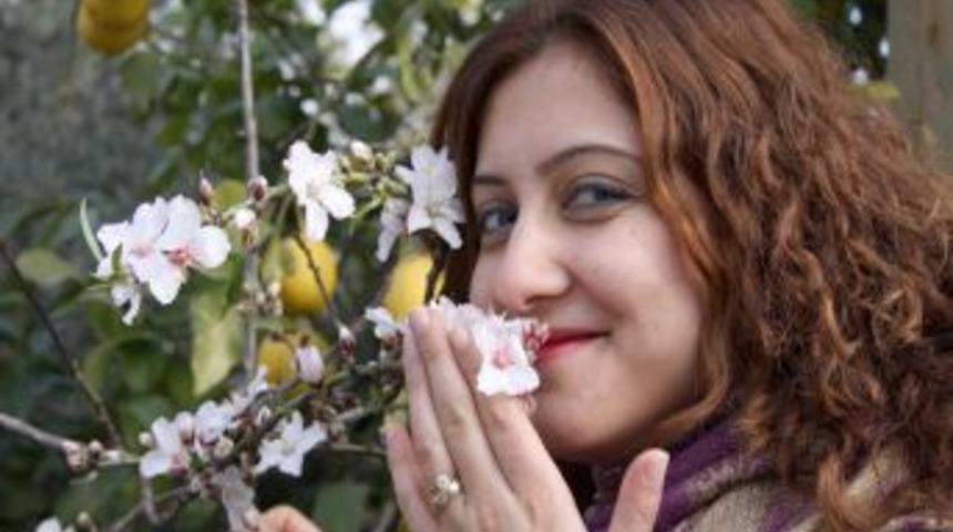 Antalya'da badem ağa&ccedil;ları &ccedil;i&ccedil;ek a&ccedil;tı