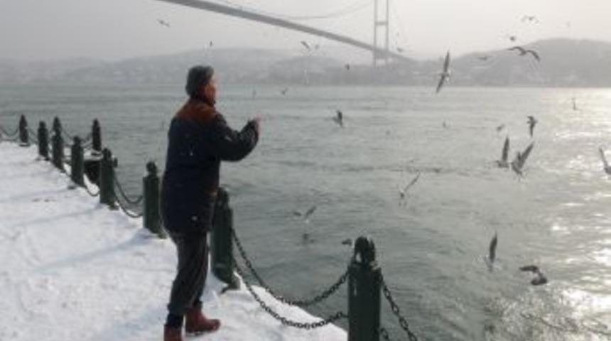 A&ccedil; kalan martıların imdadına 'yaşlı' eller yetişti