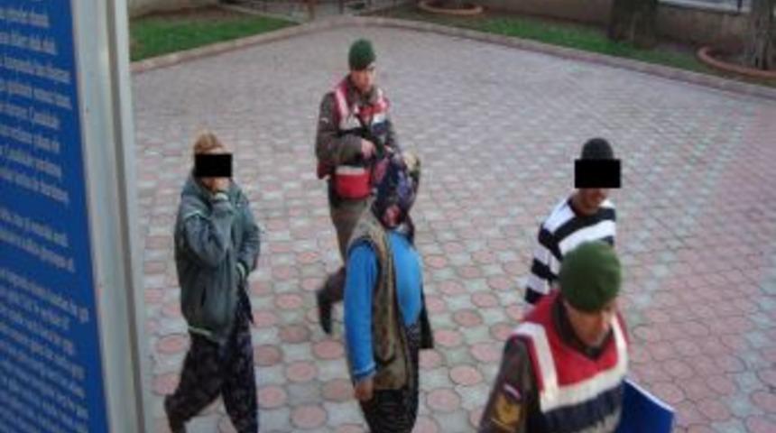 Su&ccedil;&uuml;st&uuml; yakalanan zeytin hırsızlığı zanlıları tutuklandı