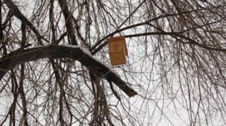 G&ouml;lbaşı'nda ağa&ccedil;lara ahşap kuş kafesleri yerleştirildi