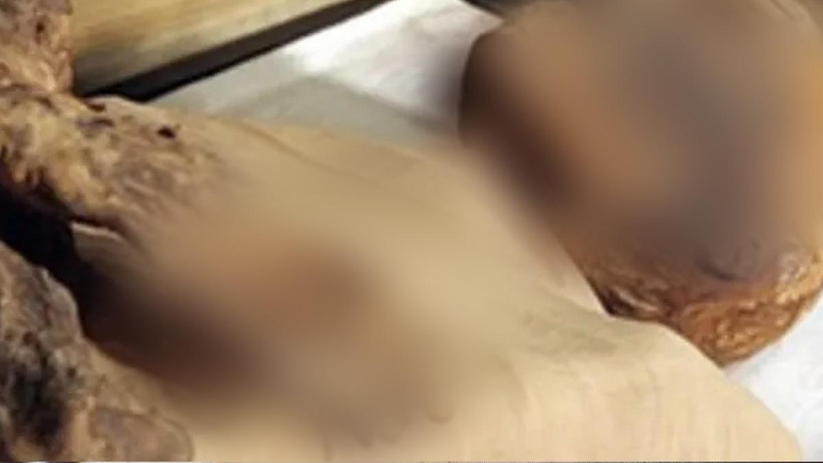 Mersin deki kan donduran 25 yıllık  mumya ceset cinayeti  aydınlatıldı: Buzdolabına koyup betonla kapatmışlardı 1