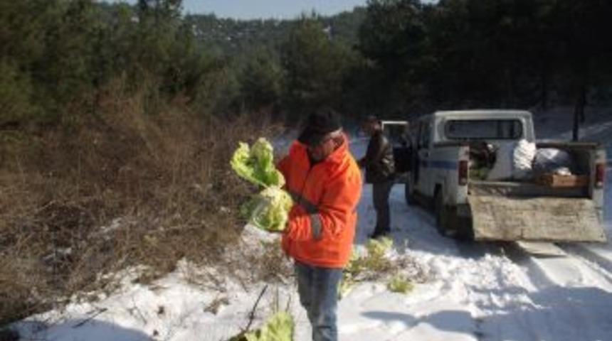 Erbaa Belediyesi'nden yabani hayvanlar i&ccedil;in yiyecek &ouml;nlemi