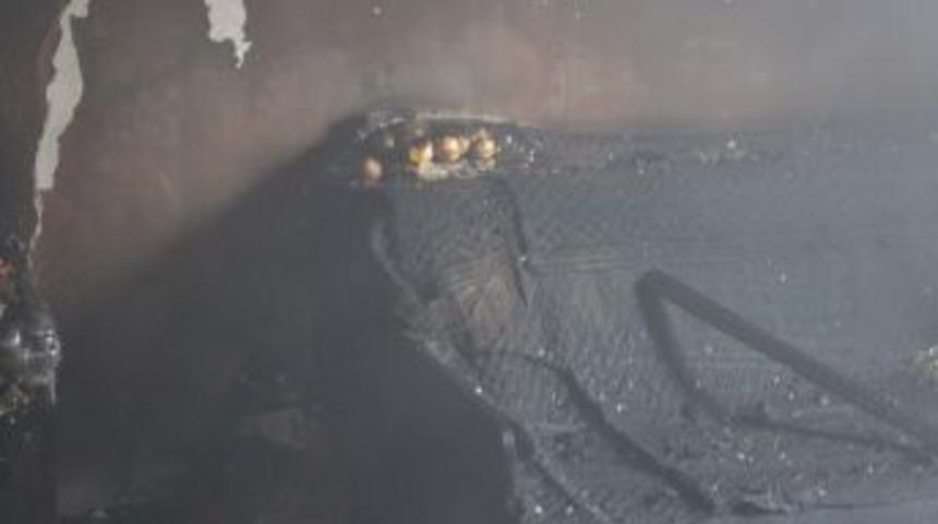 &Ccedil;ankırı&rsquo;da &ccedil;ıkan yangında 150 s&uuml;s civcivi telef oldu