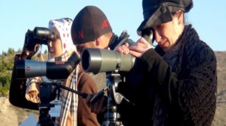 Kuş gözlemcileri, Şanlıurfa’da 56 bin 595 kuş gözlemledi